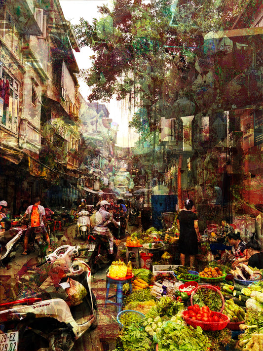 Harmony Within Choas